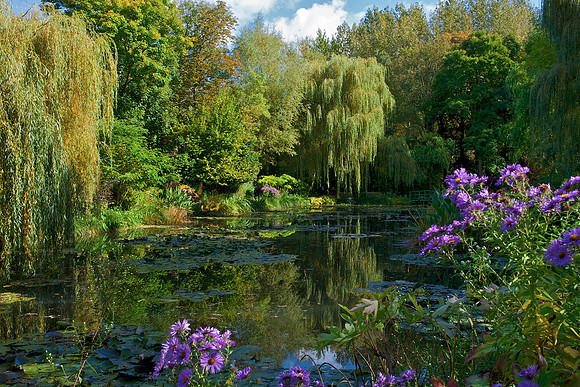 The Pond
