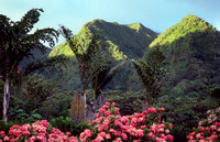 Hawaii_004