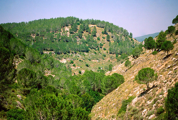 Israelkodachrome_25