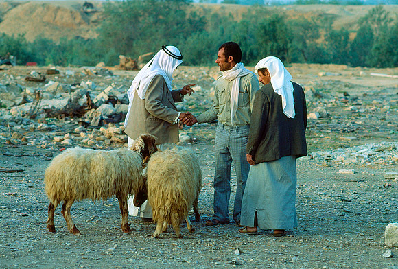 Israelkodachrome_43