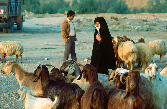 Israelkodachrome_44