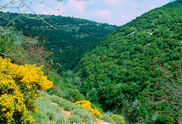 Israelkodachrome_66
