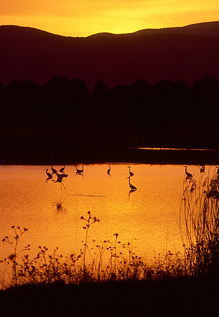 Israelkodachrome_65