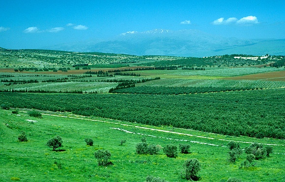 Israelkodachrome_90