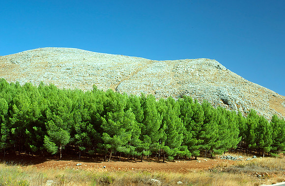 Israelkodachrome_95