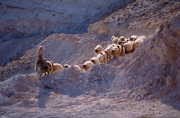 Israelkodachrome_123