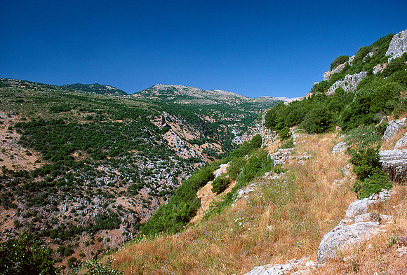 Israelkodachrome_135