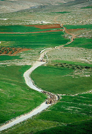 Israelkodachrome_149