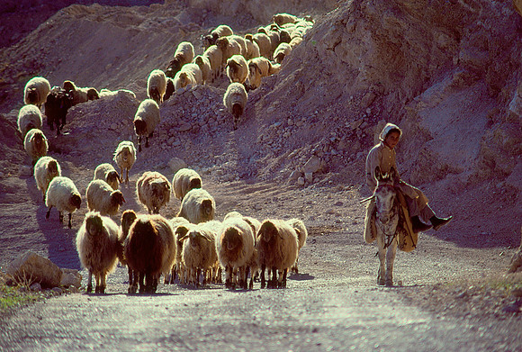 Israelkodachrome_156