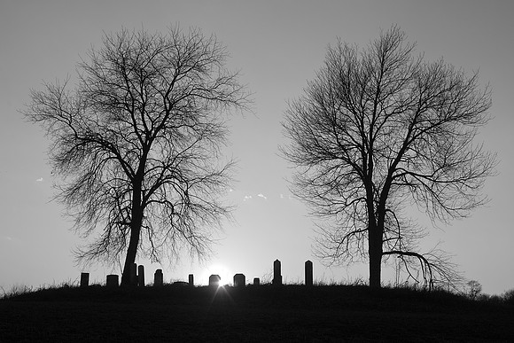 DSC_2195-2.jpg,DSC_2195-2