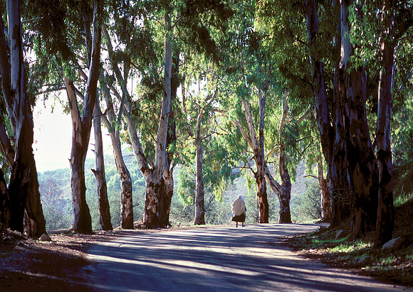Road to Hasbaya, Lebanon